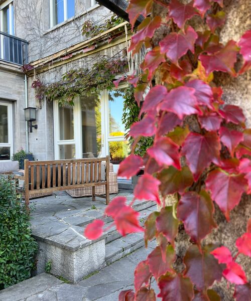Innenhof mit Holzbank und Herbstlaub, im Vordergrund rote Kletterpflanze an einer Mauer.