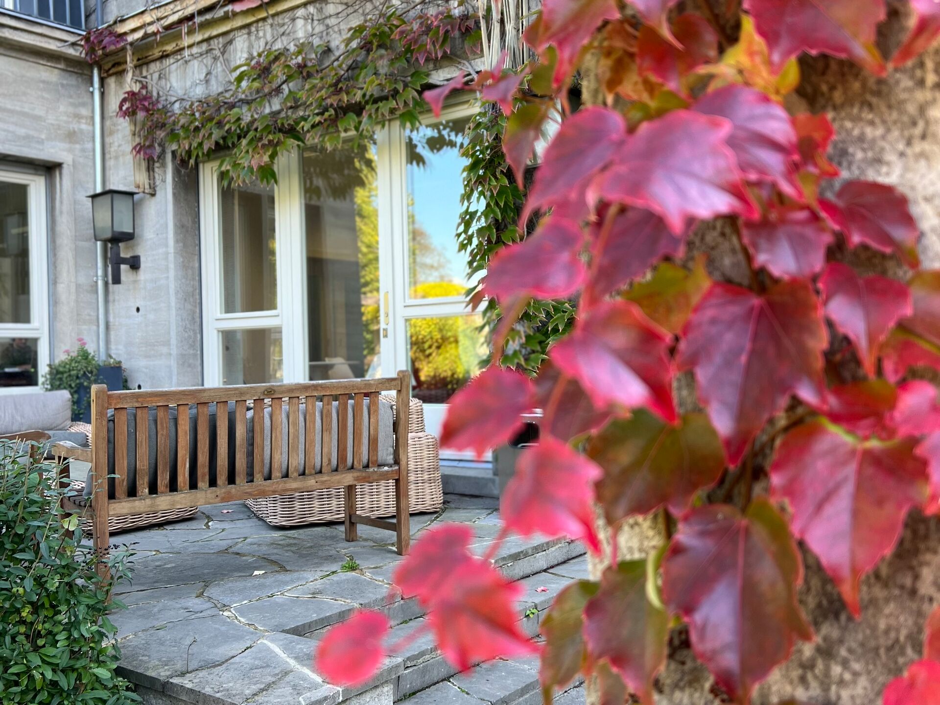 Innenhof mit Holzbank und Herbstlaub, im Vordergrund rote Kletterpflanze an einer Mauer.