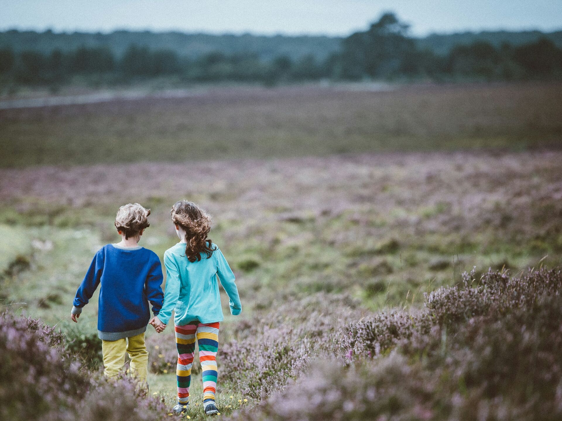 Zwei Kinder gehen Hand in Hand über ein weites Feld mit violetten Blumen, in bunter Kleidung und mit Blick in die Ferne.