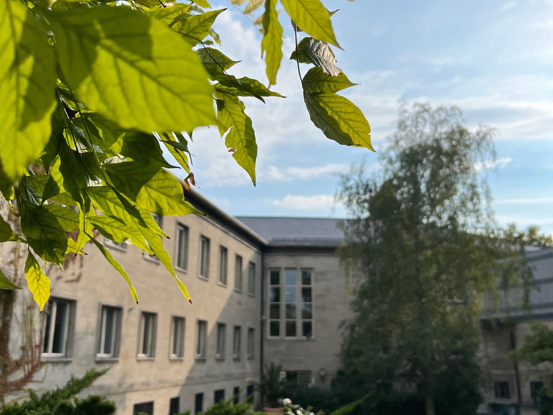 Blick auf ein Gebäude mit Garten und grünen Pflanzen im Vordergrund bei sonnigem Wetter.