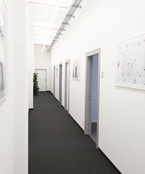 Heller Flur mit mehreren Türen und modernen Bildern an den Wänden, am Ende steht eine grüne Pflanze.