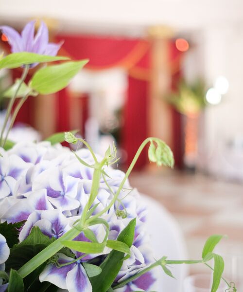 Nahaufnahme eines Blumenarrangements mit violetten Blüten vor einem festlich geschmückten Raum mit roten Vorhängen.