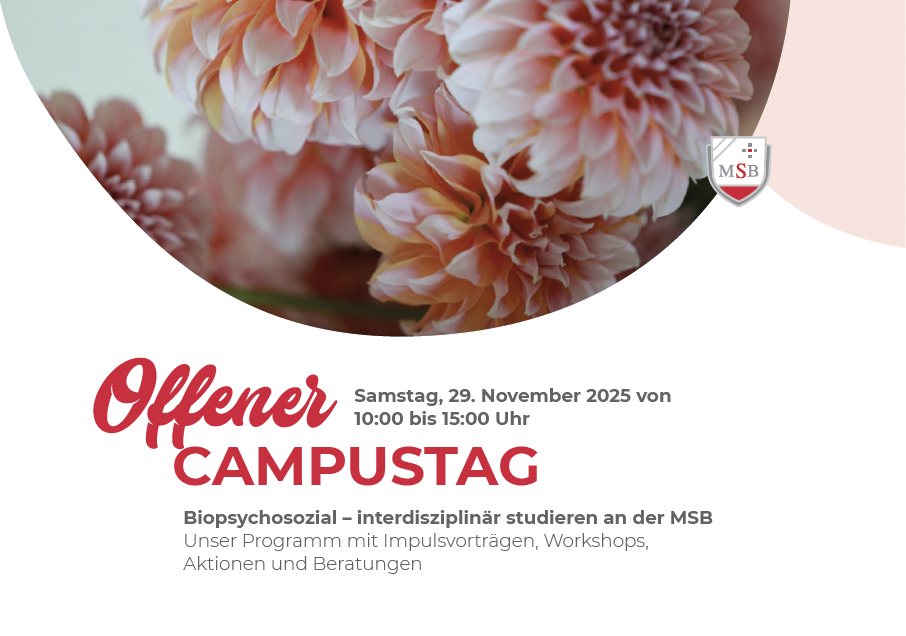 Programm zum MSB Studieninformationstag
