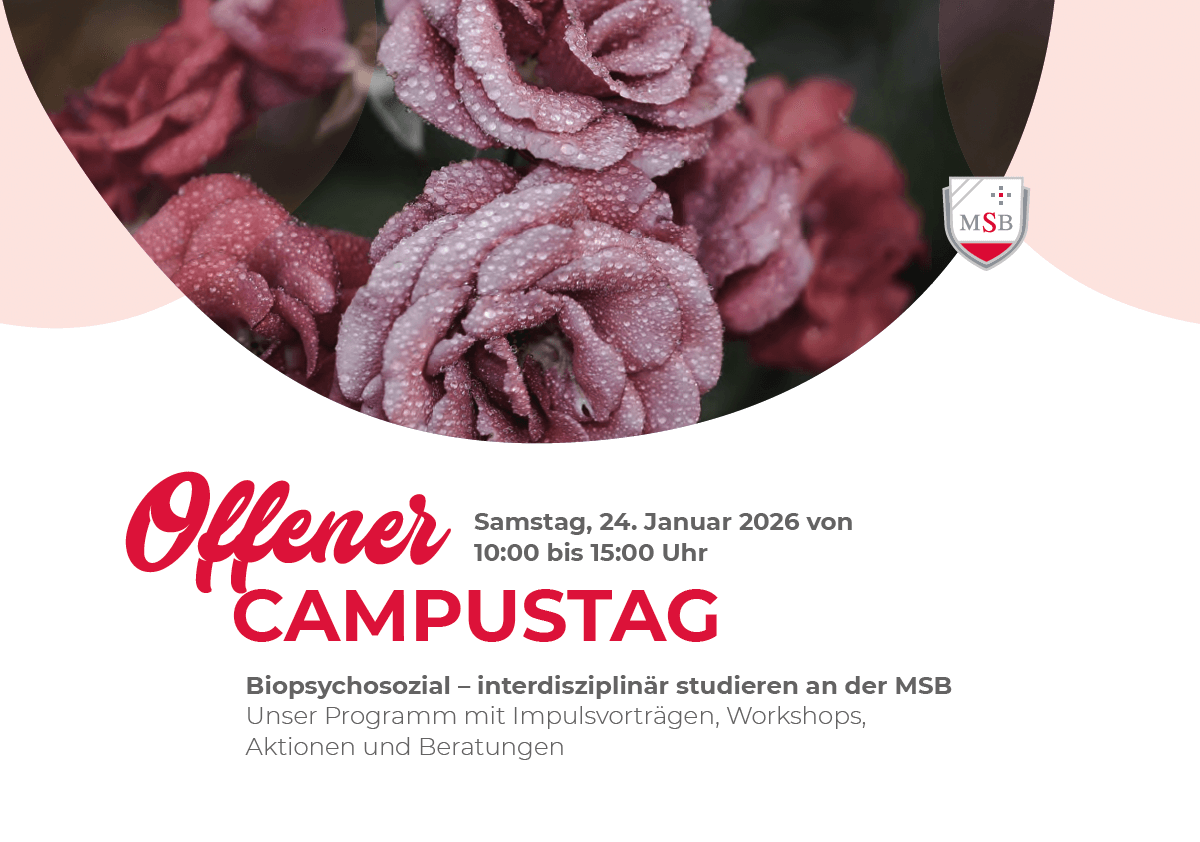 Programm zum MSB Studieninformationstag